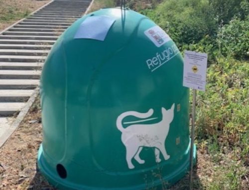 Contenedores reciclados para los gatos